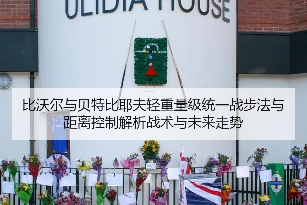 比沃尔与贝特比耶夫轻重量级统一战步法与距离控制解析战术与未来走势