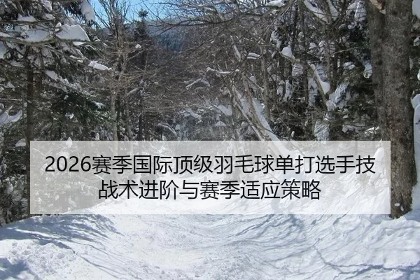 2026赛季国际顶级羽毛球单打选手技战术进阶与赛季适应策略